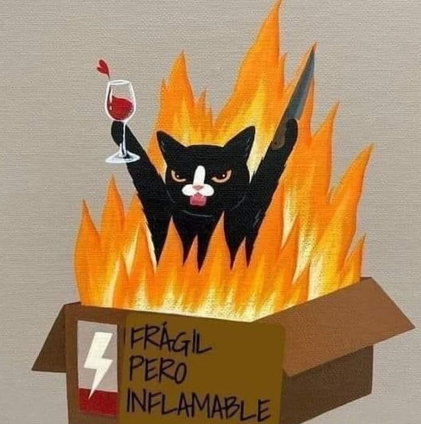 cuando eres de tamaño petite pero con la luna en signos de fuego ♈♌ ♐