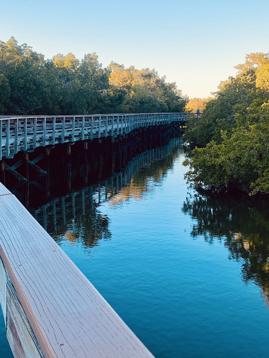 thegardennymph's tweet photo. Evening walk …
#nature #NatureBeauty #Florida #winter #conservation #wildlife #joy #sea #wildlifephotography #fitness https://t.co/dkgLcAudR2