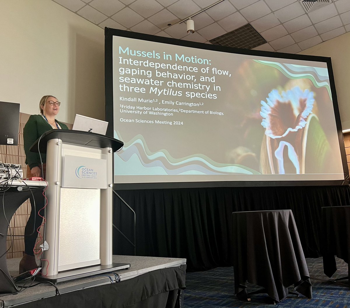 KindallMurie's tweet photo. Excited to be here at #OSM24 to present my research on Mussels, flow and seawater chemistry! @UWBiology @MarineBiol_FHL @carrington_lab https://t.co/T5MblNwsKB