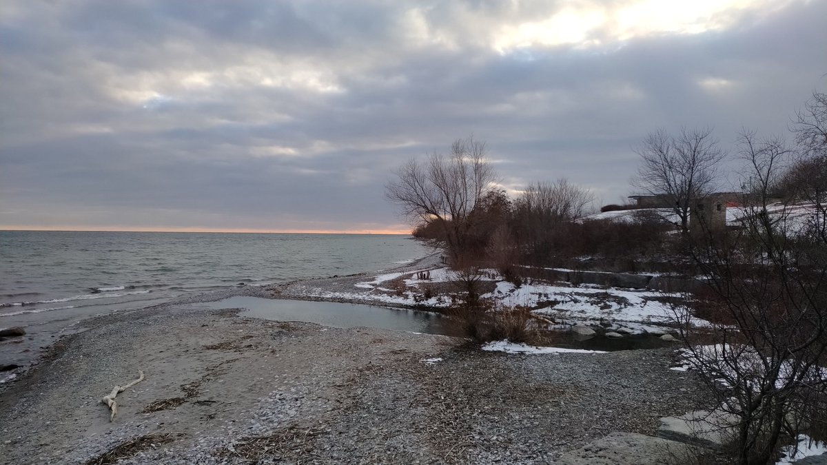 Bari B. 🇨🇦 tweet media