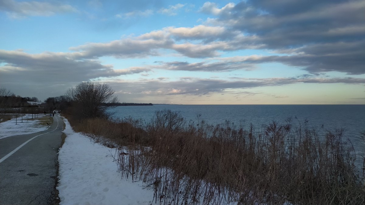 Bari B. 🇨🇦 tweet media