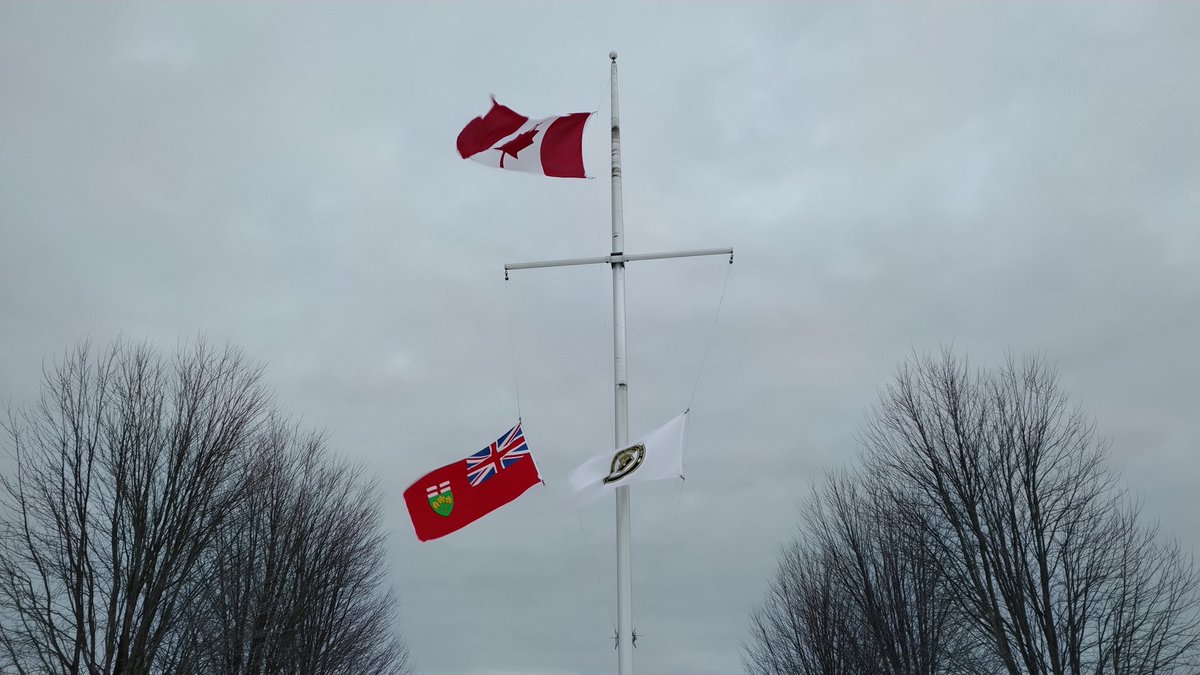 Bari B. 🇨🇦 tweet media