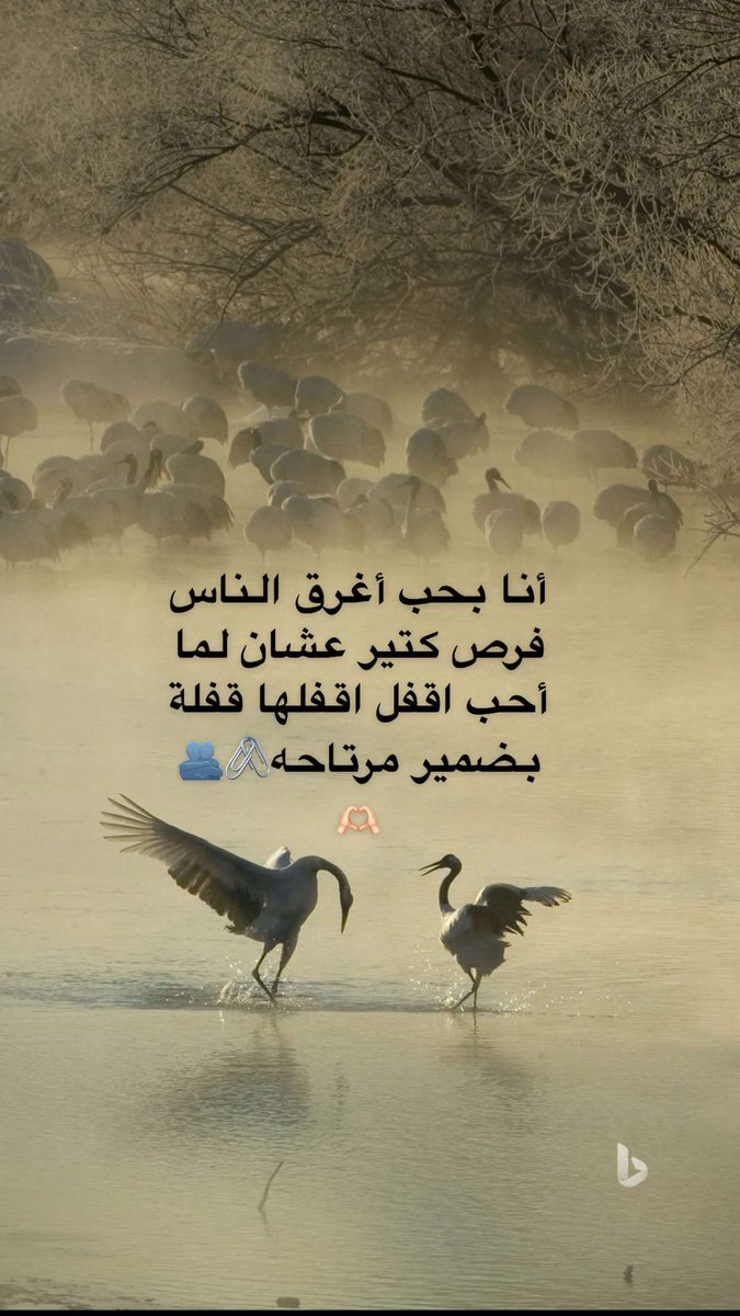 🖇️🖇️🫶🏻