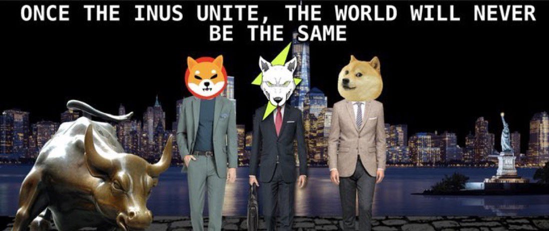 HOLDdotCOM's tweet image. #INUS United the take over @Shibtoken @dogecoin @VoltInuOfficial power to the people ⚡️