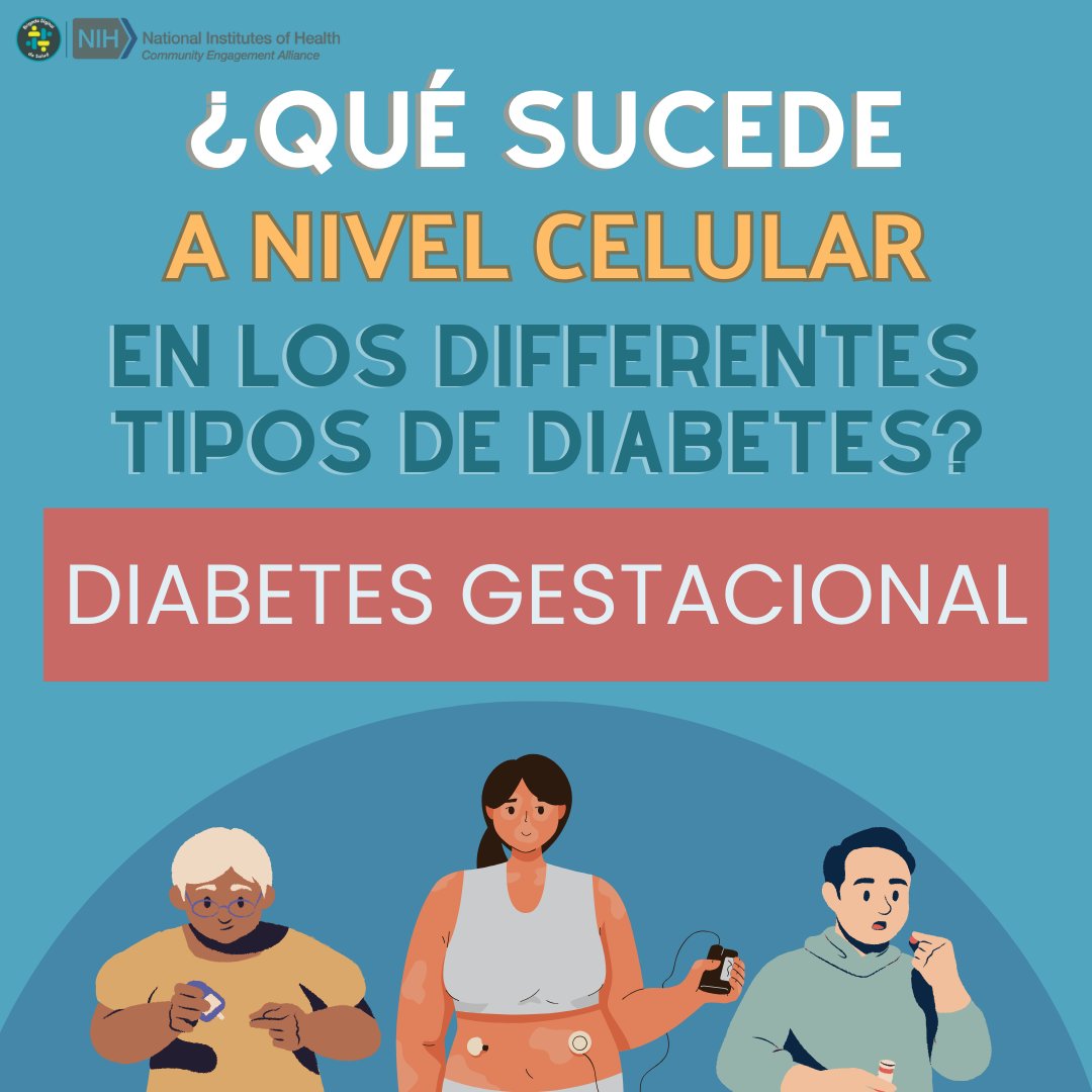 BriDigdeSalud's tweet photo. ¿Puede una mujer desarrollar diabetes estando embarazada? ¡Sí! ¿Alguna vez te has preguntado por qué sucede eso?
#Comunidad #Cuidate #SaludPública #Prevención #diabetes #insulina #diabetesgestacional https://t.co/AjiUzpfzNR