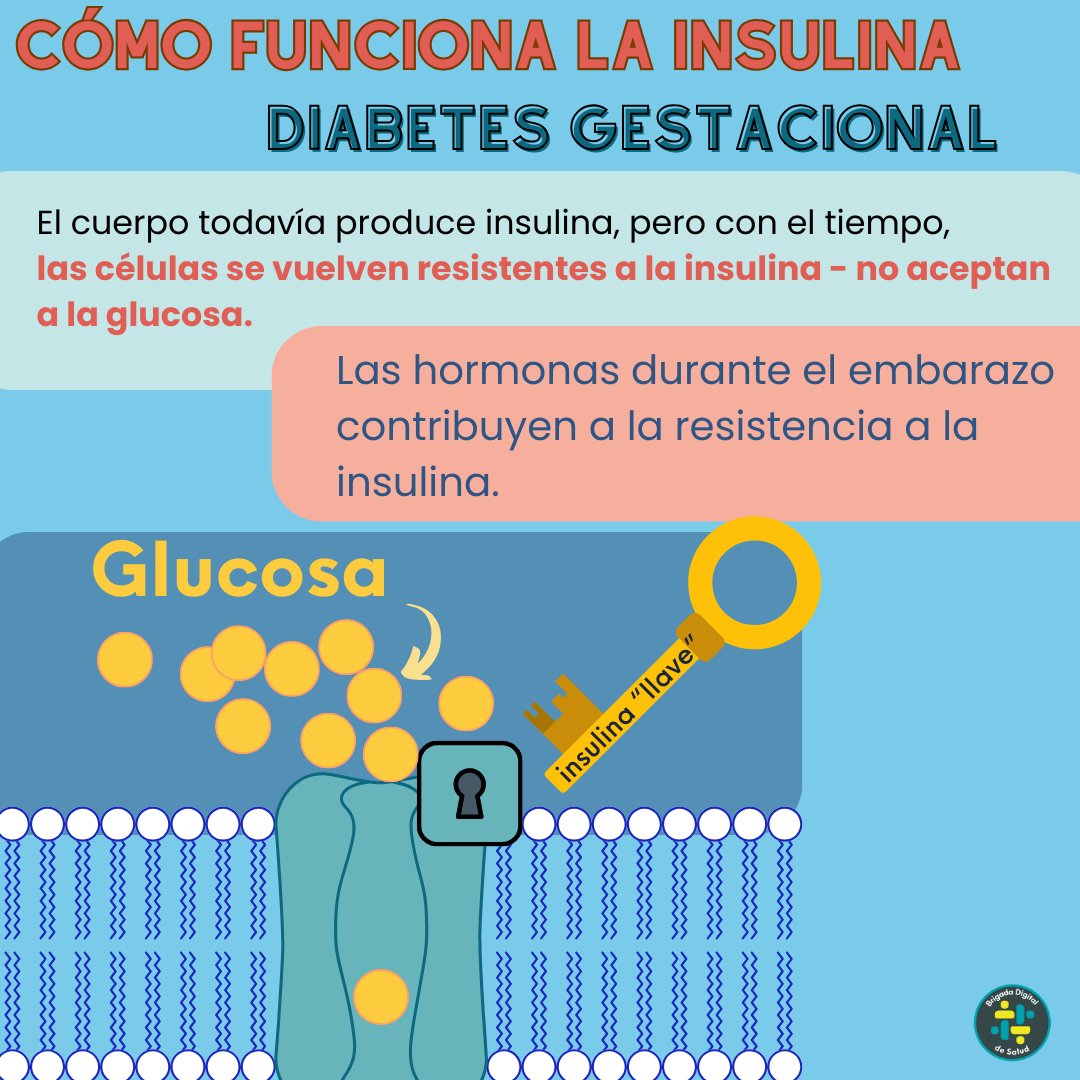BriDigdeSalud's tweet photo. https://t.co/TeDB6ip10v