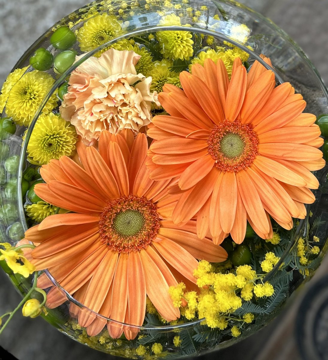 おはようございます𓂃 ꕤ.•

🫧🌼🌿笑顔溢れる
　　　　一日になりますように🌼🫧🌿

寒暖差が激しいですね✨
体調にお気をつけくださいませ🍀

いつも優しいお心遣い感謝致します💐