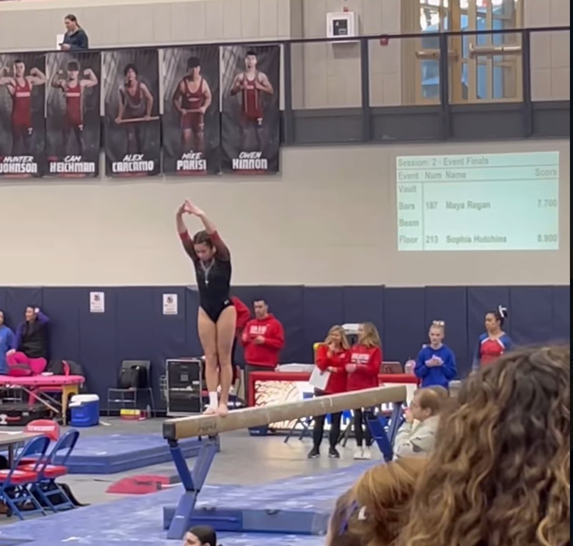 mascogymnastics tweet media