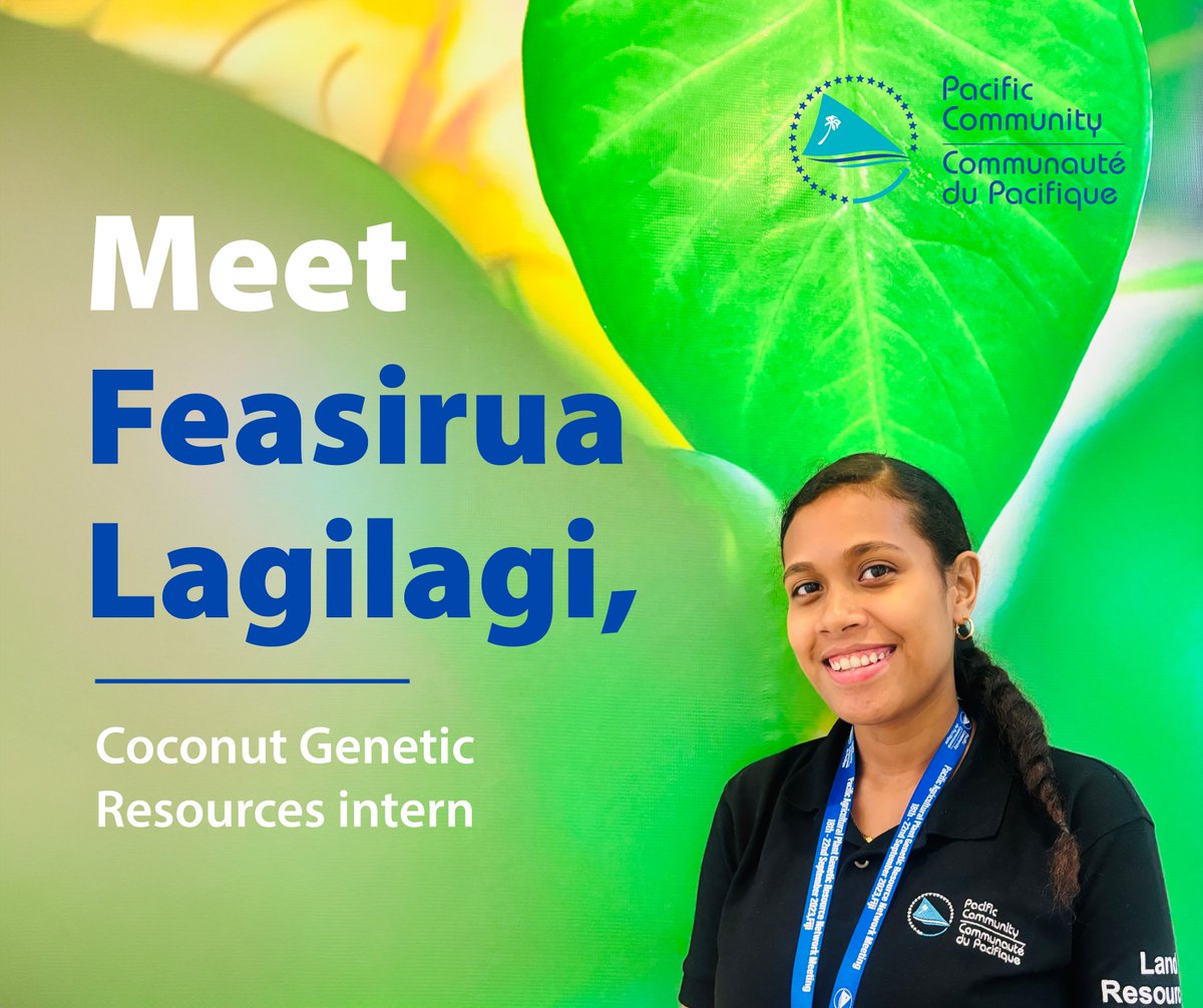 spc_cps's tweet image. #ResearchInFocus | 🥥 Meet Feasirua Lagilagi, Coconut Genetic Resources intern at SPC's LRD.
🗣️ "My research involvement has been instrumental in shaping my skills &amp;amp; knowledge, providing a robust foundation for my future career. 
🔗 Read Feasirua's story : bit.ly/49k8uJJ