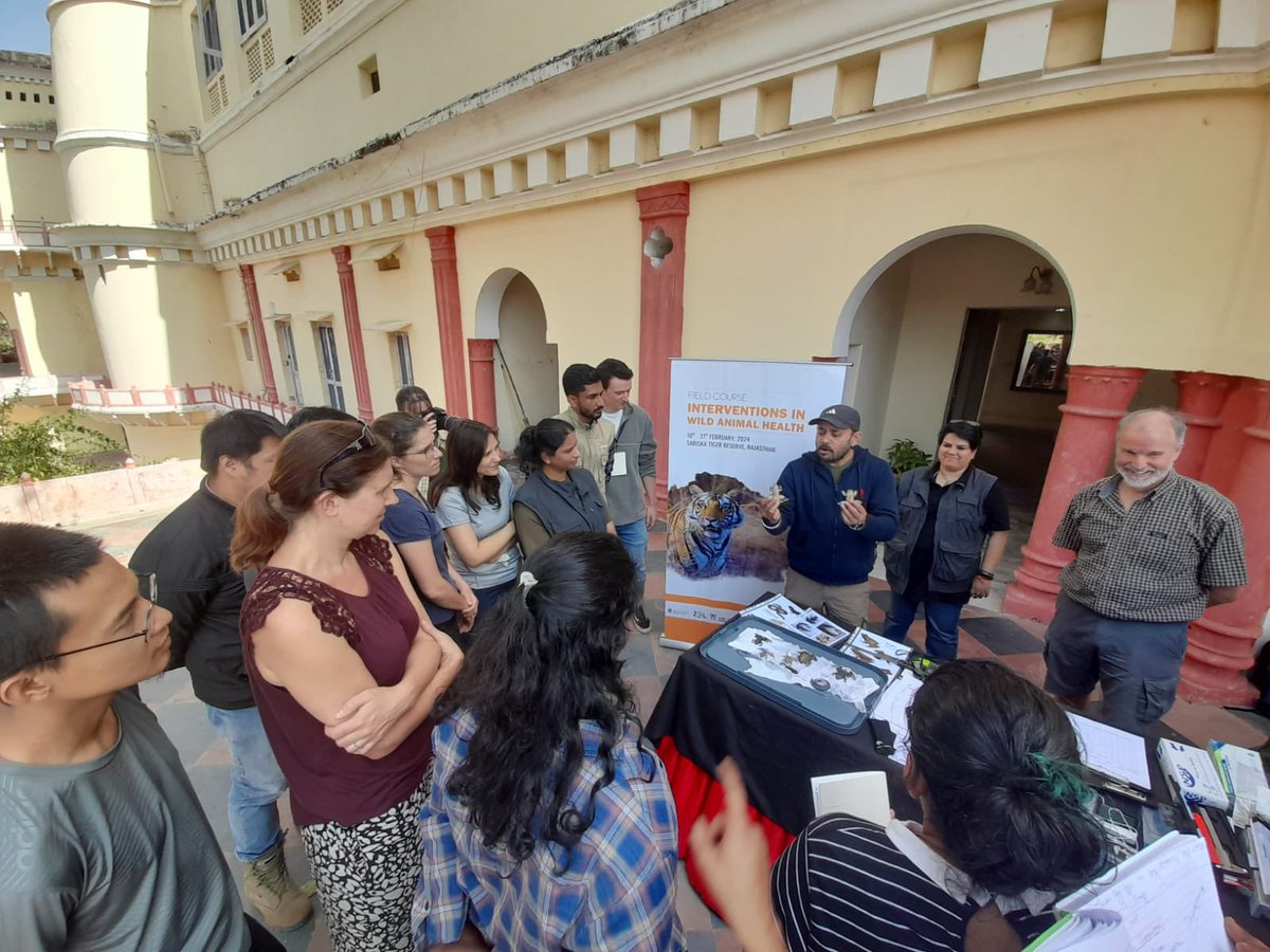 Wildlife Institute of India tweet media