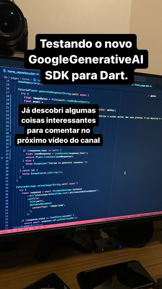 Gabul | Flutter tweet media