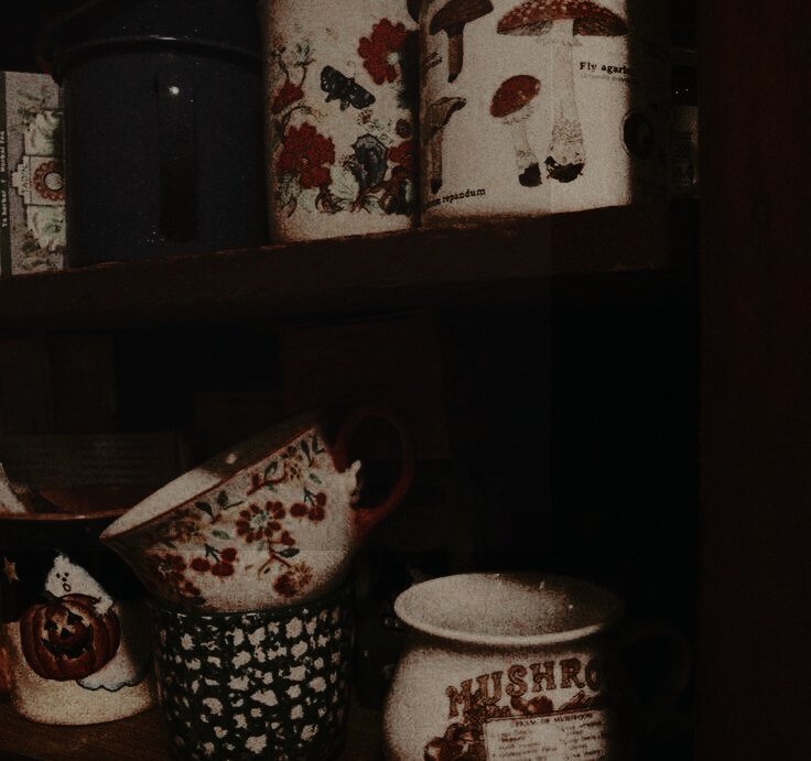 ⠀
⠀⠀⠀◇ SE BUSCA: 

— Molly Prewett.
— Posible OTP. 
— FC a elegir.
— más información MD.

⠀⠀⠀⠀⠀⠀⠀⠀¿RT? 
⠀