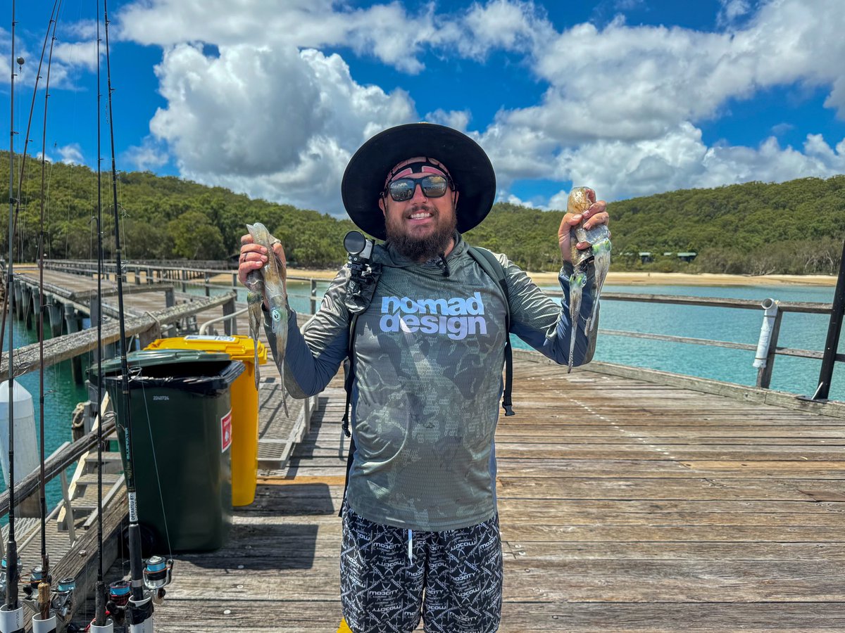 theRealShooKon3's tweet photo. 4 Tigers in the first 20 min, gonna use these as bait today! Live at https://t.co/k7pxpG8T2v #modcity #fraserisland https://t.co/ynUAZxcX7q