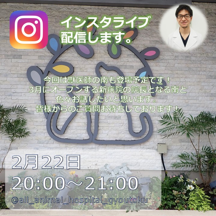 ALL_AH_group's tweet photo. 本日、ALL動物病院行徳公式インスタグラムアカウントでインスタライブを開催します！
今回は獣医師の南も登場予定です。
3月にオープンする新病院の院長となる南から色々お話させていただきます。
ご参加心よりお待ちしております。

https://t.co/xmb5BvvZjv
#インスタライブ　#インスタライブ告知 https://t.co/tHlIbaEfIR