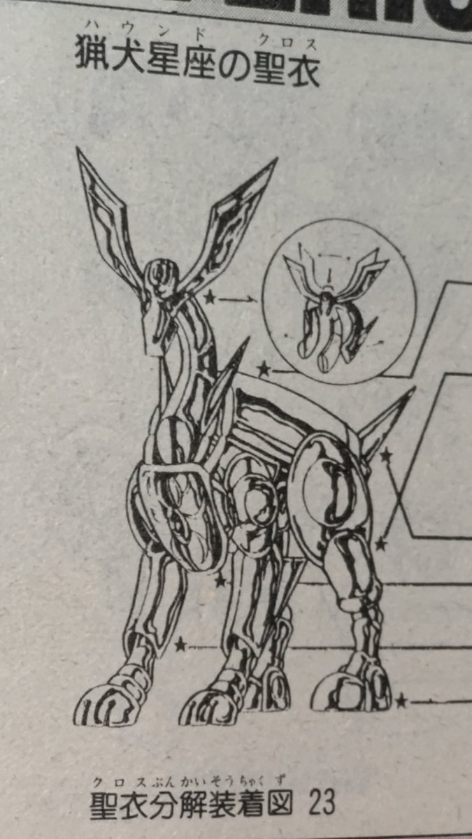 猟犬星座のアステリオン #聖闘士星矢 今日、2月20日は、白銀聖闘士