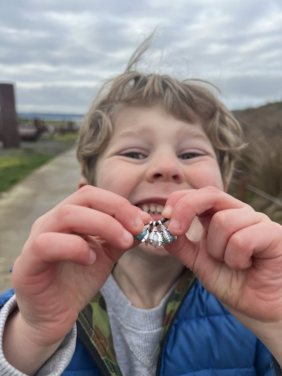 Tacomashines's tweet photo. Lots still out there! #monkeyshines2024 https://t.co/rqmjF9KGQg