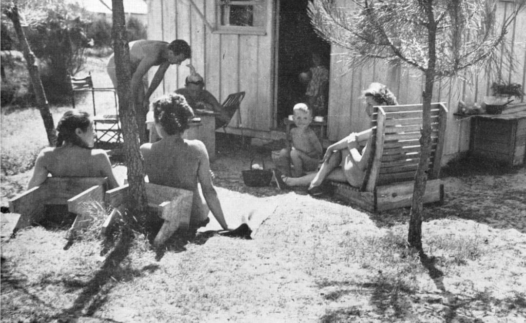 Canadian Naturist tweet media