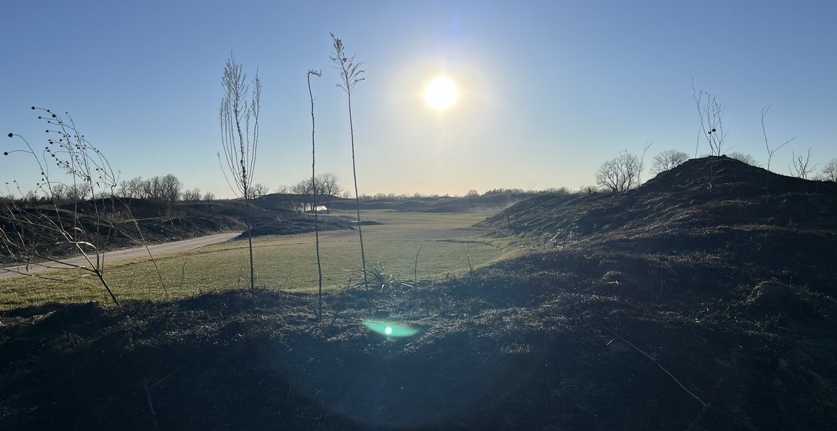 Cory Griess tweet media