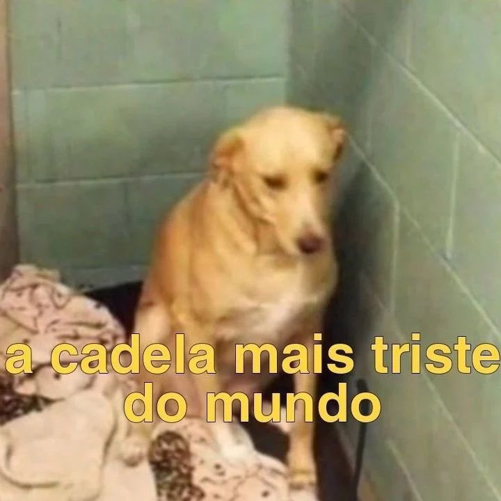 Uma das maiores coisas que eu odeio em me mesmo é gostar de homem.