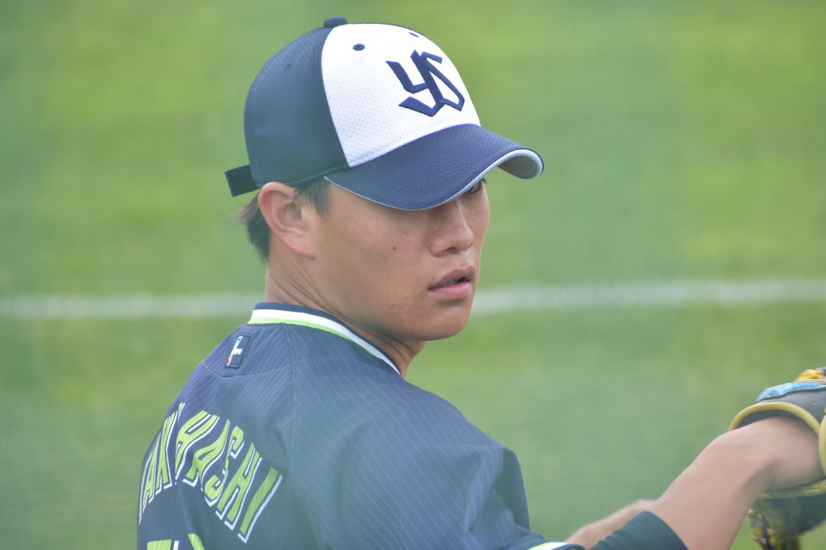 leaf_ys113142's tweet photo. 隙間産業実施中📷
#swallows
#Springcamp2024 https://t.co/dwohPIP6c5