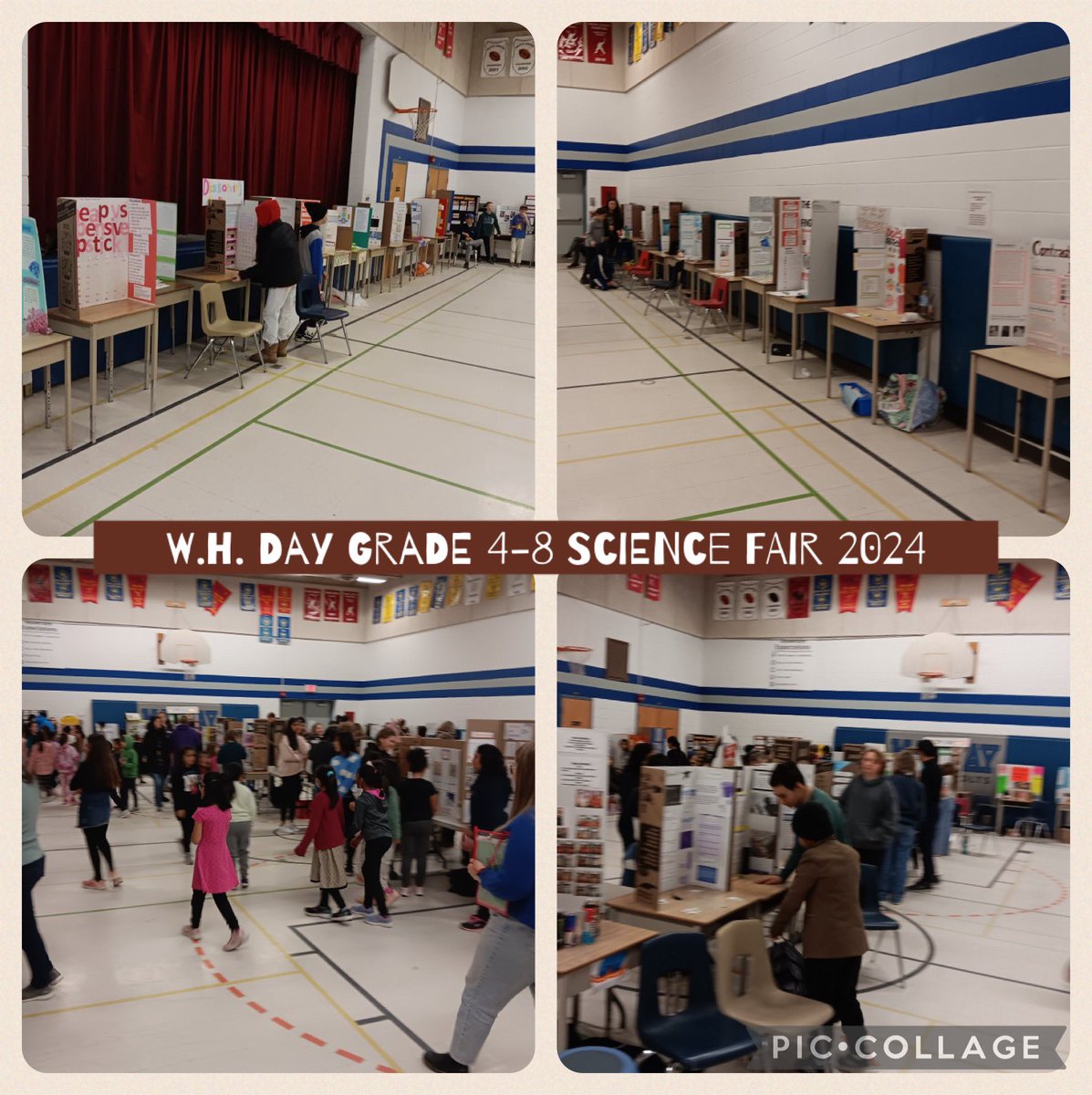 Janice Whiteside tweet media