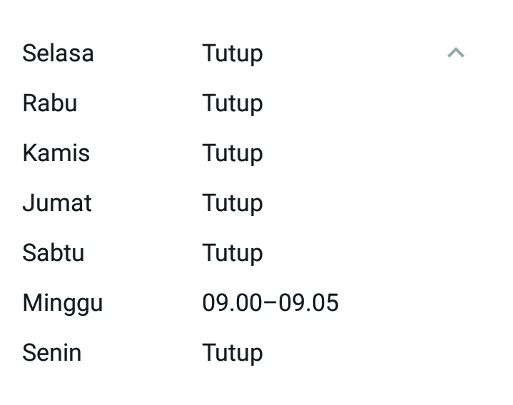 auli 🧚🏻♀️ tweet media