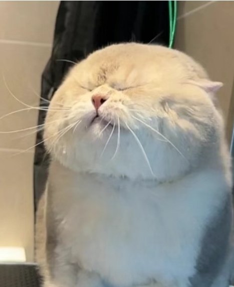 王海滨的财经闲谈 tweet media