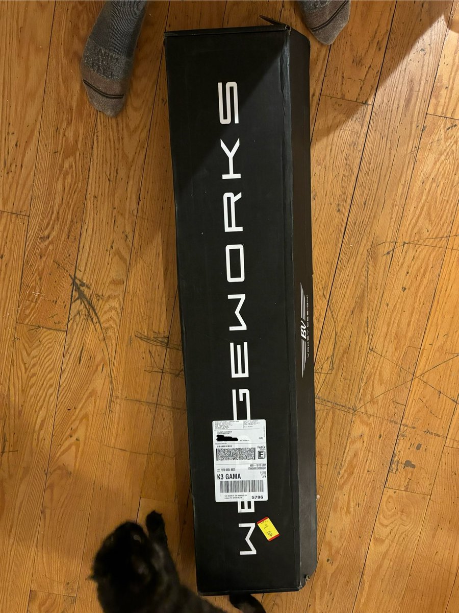 Zephyr Melton tweet media
