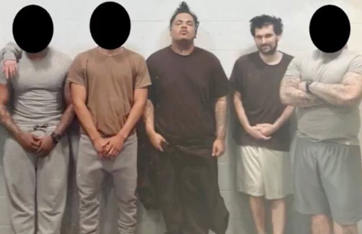 Altcoin Daily tweet media