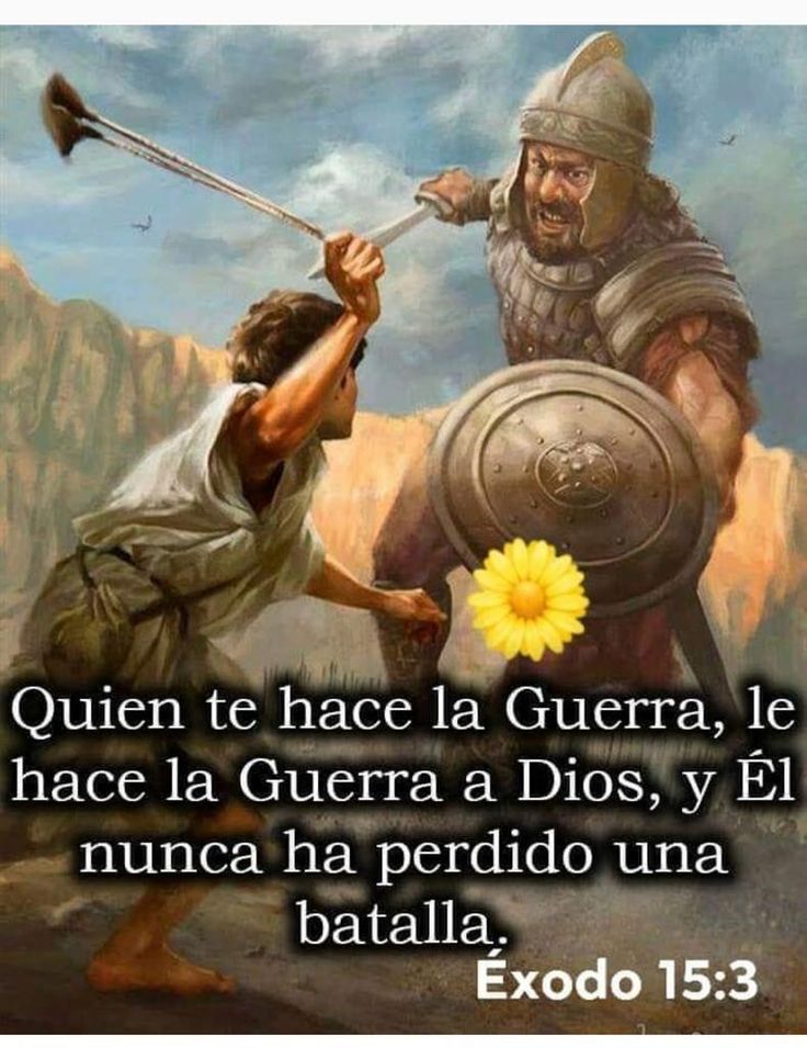 roxfiore's tweet photo. Buenas noches mundo.... Dios va delante de ti. https://t.co/FBUN73OXRn