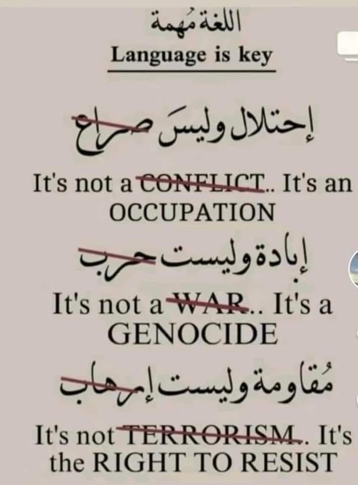 {Manshy}🌊🇵🇸 tweet media