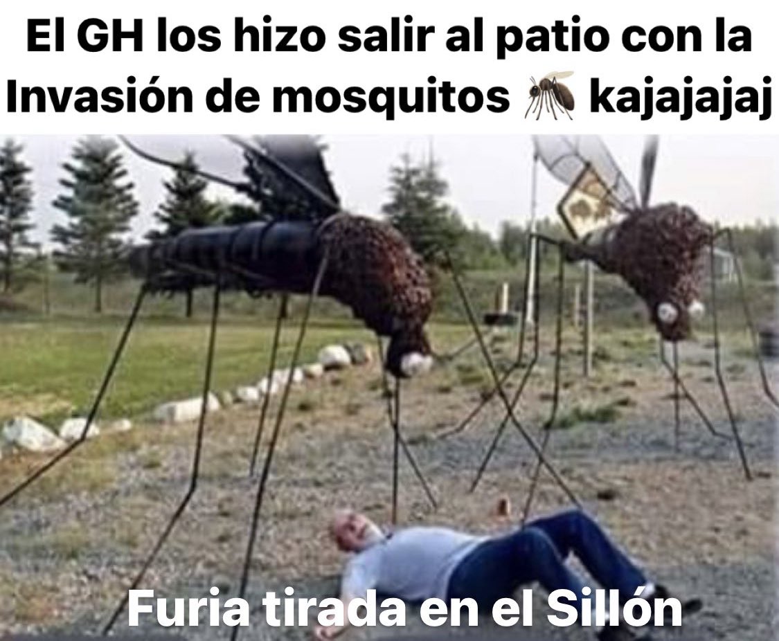 El GH haciendo que salgan al
Patio para jugar al Congelado jajajajaja que hdp