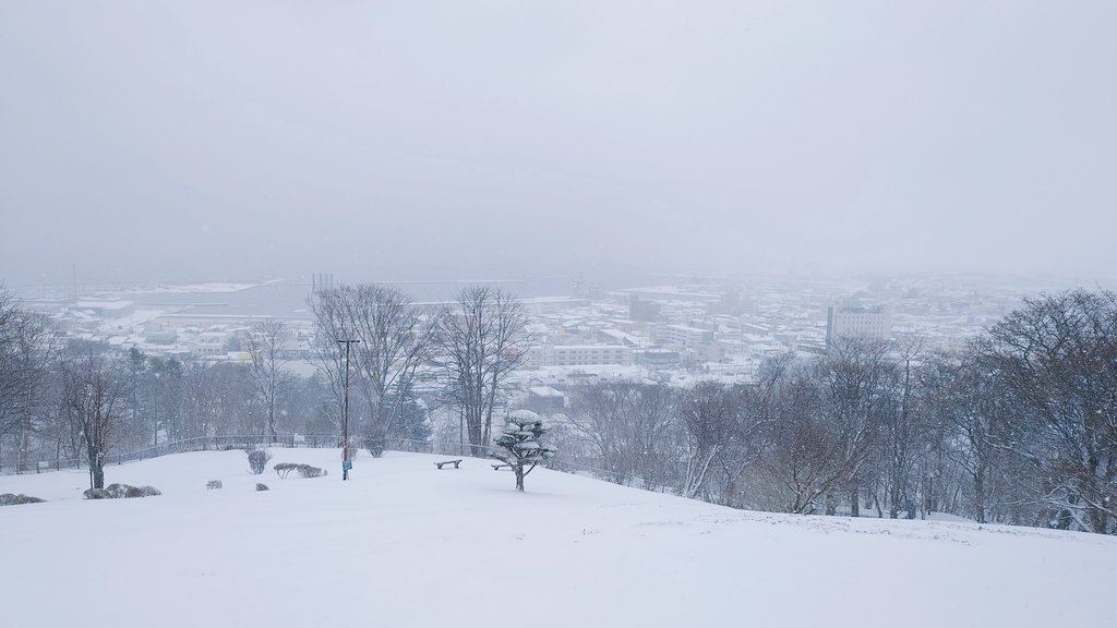 hajime_kimura's tweet image. Looking towards #Mombetsu Port, covered in a blanket of snow