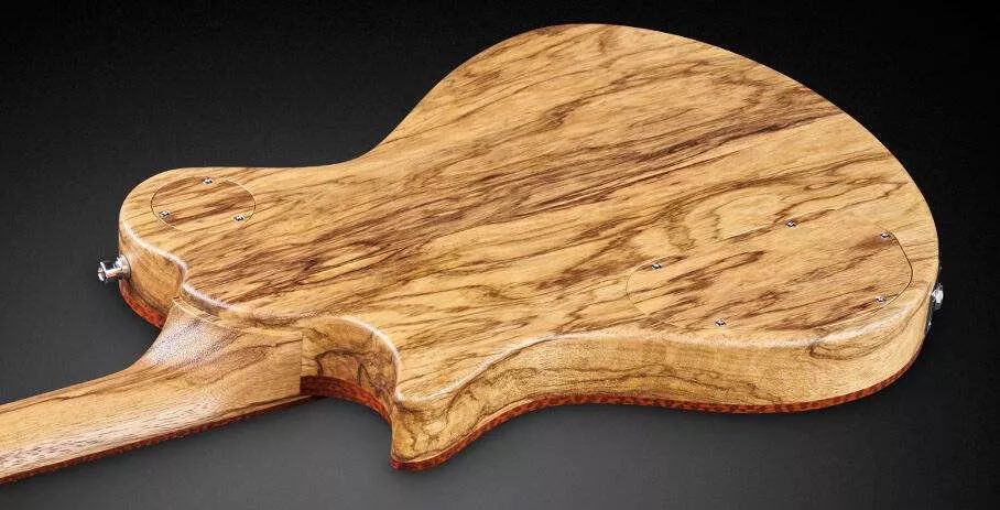 Tachyon576's tweet image. 僕の個体はFramus(Warwick)のWebに掲載、つまり自動的に「このスペックで作った最高の個体であること」の証明に🙆‍♂️
所謂カタログ掲載モデルは貴重で憧れ🥹
ちなみにドイツは€で同スペックを今オーダーすると代理店(山野)通さなきゃいけなく170万円以上🥹ﾋｷﾞｨ
#Framus 

shop.warwick.de/en/instruments…