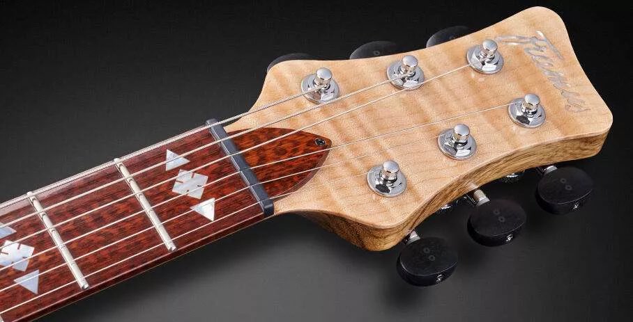 Tachyon576's tweet image. 僕の個体はFramus(Warwick)のWebに掲載、つまり自動的に「このスペックで作った最高の個体であること」の証明に🙆‍♂️
所謂カタログ掲載モデルは貴重で憧れ🥹
ちなみにドイツは€で同スペックを今オーダーすると代理店(山野)通さなきゃいけなく170万円以上🥹ﾋｷﾞｨ
#Framus 

shop.warwick.de/en/instruments…