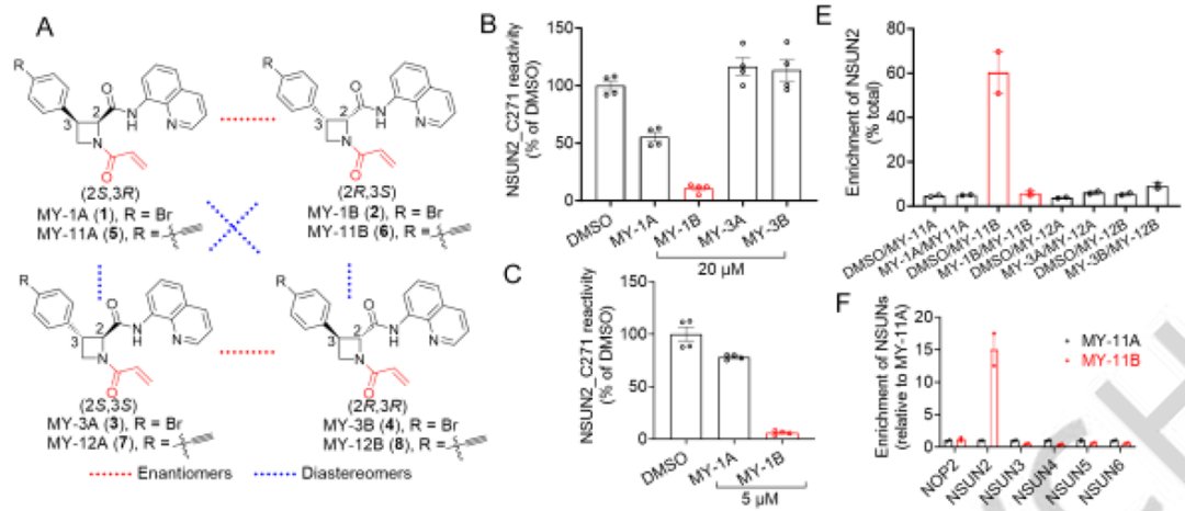 [Publication Sharing]⏰ --Chemical proteomic discovery of isotype-selective covalent inhibitors of the RNA Methyltransferase NSUN2. 

In this paper, the authors employed Activity-Based Protein Profiling (ABPP) to identify covalent inhibitors that selectively target human NSUN2.