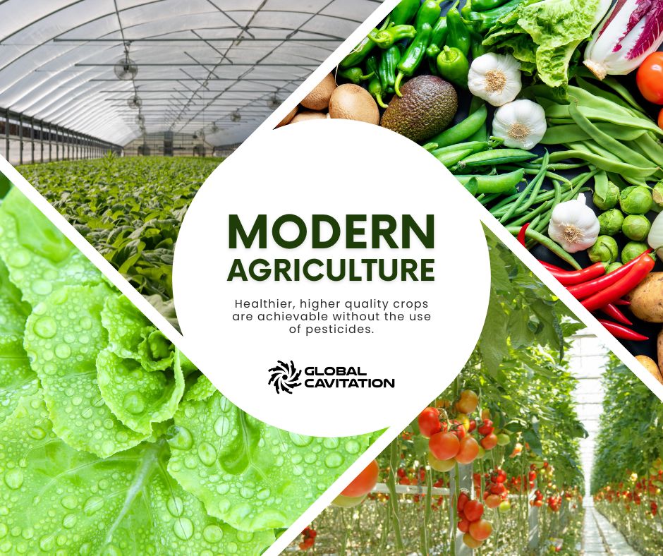 cavibubble's tweet image. MODERN AGRICULTURE: Pioneering Healthier, Higher Quality Crops Without Pesticides

🌱 In the advancement of agricultural innovation, our nanobubble technology is revolutionising the way we approach crop cultivation. 

#NanobubbleTechnology #nanobubbles