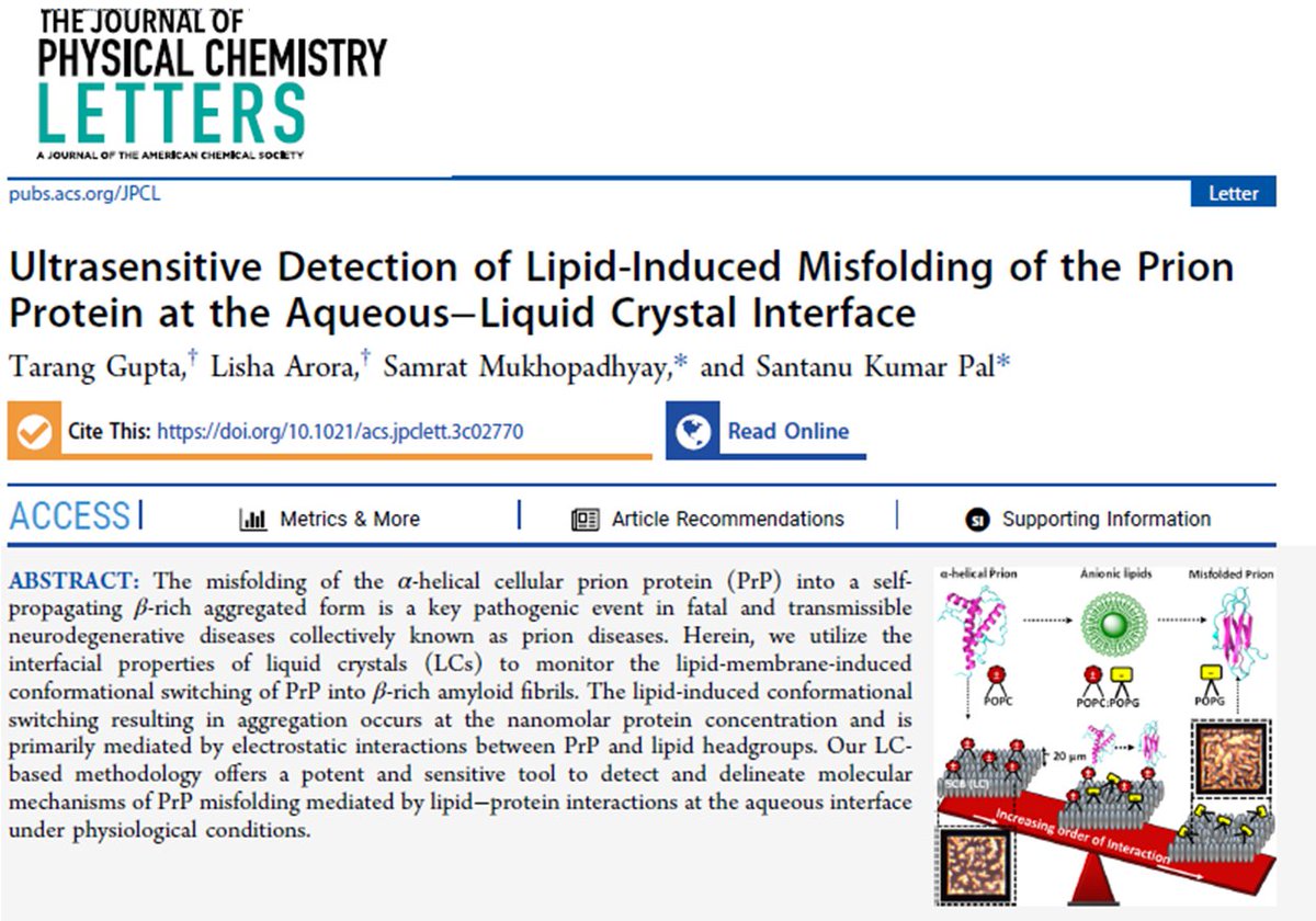 Samrat Mukhopadhyay (@samratlabmohali) on Twitter photo Happy to share our paper in <a href="/JPhysChem/">The Journal of Physical Chemistry</a> Letters on the detection of lipid-induced misfolding of the prion protein using the interfacial properties of liquid crystals. This work was spearheaded by my colleague <a href="/SANTANU03277687/">SANTANU KUMAR PAL</a> <a href="/DCS_IISERMOHALI/">Department of Chemical Sciences IISER Mohali</a> @IISERMohali.
pubs.acs.org/doi/10.1021/ac… Happy to share our paper in <a href="/JPhysChem/">The Journal of Physical Chemistry</a> Letters on the detection of lipid-induced misfolding of the prion protein using the interfacial properties of liquid crystals. This work was spearheaded by my colleague <a href="/SANTANU03277687/">SANTANU KUMAR PAL</a> <a href="/DCS_IISERMOHALI/">Department of Chemical Sciences IISER Mohali</a> @IISERMohali.
pubs.acs.org/doi/10.1021/ac…