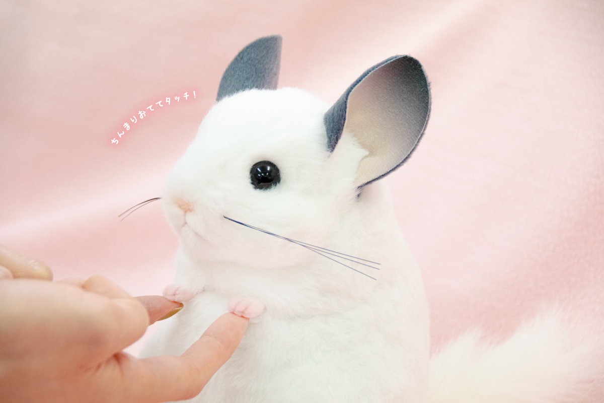 新商品のおしらせ】 「りくのなかまたち」に リアルかわいい