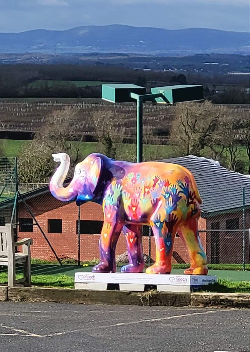 evesham ramblers tweet media