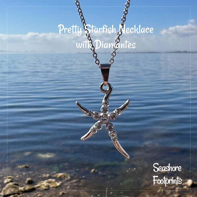 Bring some fun to your summer wardrobe, its guaranteed to get admired by any beach lover. 

It would make a perfect Mothers Day gift with a free gift box too.

#starfishcharm #charmnecklace #beachjewelry #mhhsbd

wix.to/BpbtcZn