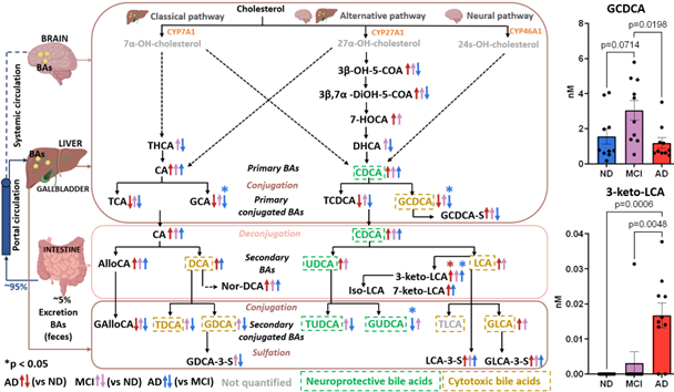 ESchymanski's tweet photo. So proud of @Begotalavera9 for leading this great #Alzheimers MCI #CSF #cheminformatics HRMS work w/ Arnaud Carmen @michael_heneka @lcsb_uni_lu + Tiejun Leonid @EvanBolton @pubchem in @EnvSciTech #exposome special issue.
https://t.co/EPnm3LBVeL
Thanks @FnrLux &amp; congrats Bego! https://t.co/KhujkYXPRc