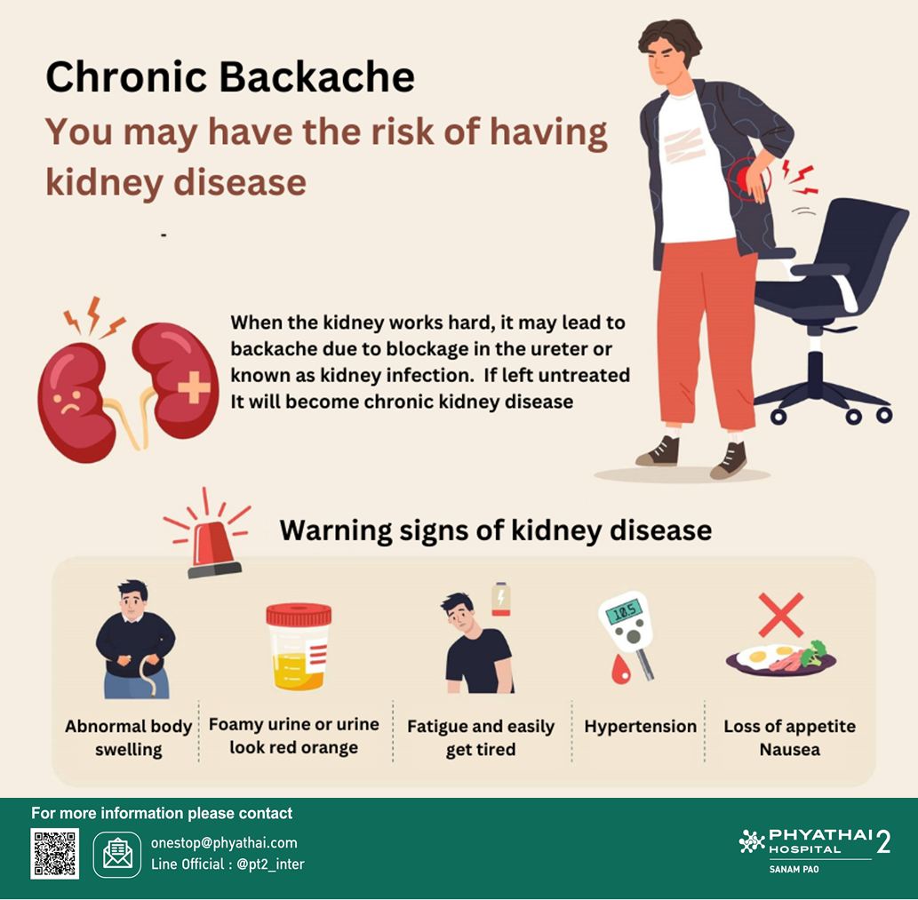 The kidneys play a crucial role in filtering waste products and excess fluids from the blood, maintaining electrolyte balance, and regulating blood pressure. When the kidneys are damaged or their function is compromised, it can lead to a range of health problems. #ChronicBackPain