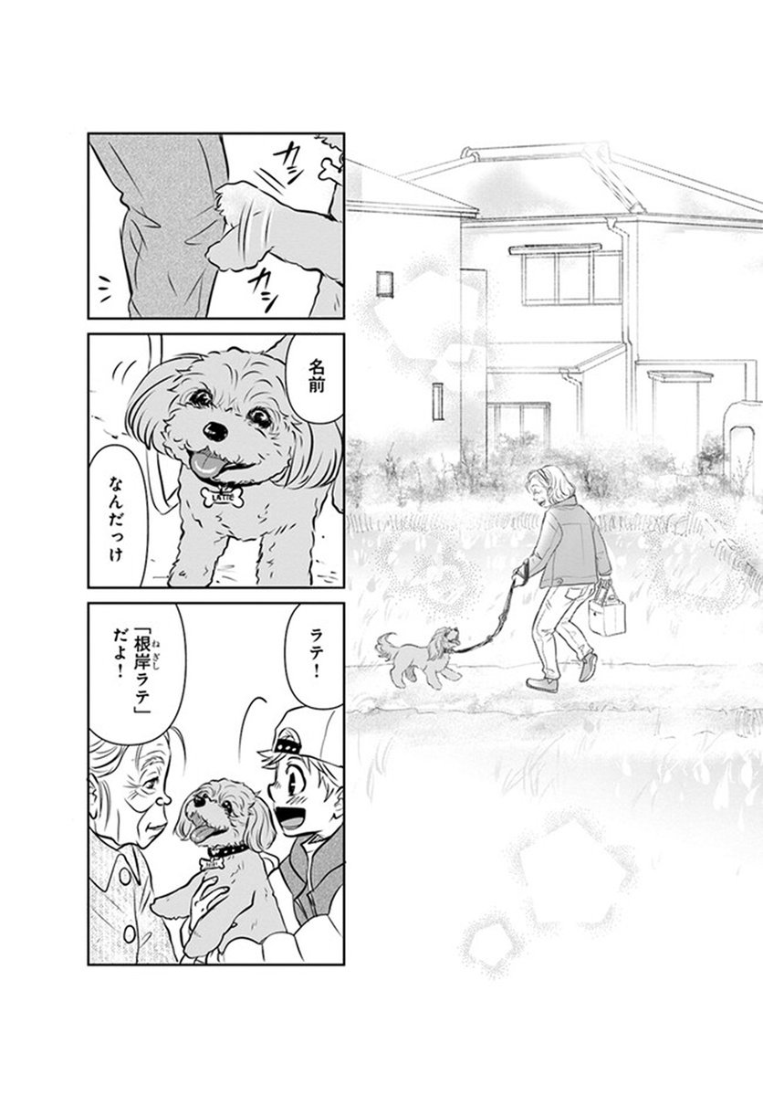 🔔更新情報🔔
『DOG SIGNAL』(作:みやうち沙矢@DogSignal)
第48話③を公開しました!
ばーちゃんとの散歩は楽しくて--🌿どうぞお楽しみください!
https://t.co/wnGZe6Fjrk
#カドコミ #コミックブリッジ #うちのこシグナル
