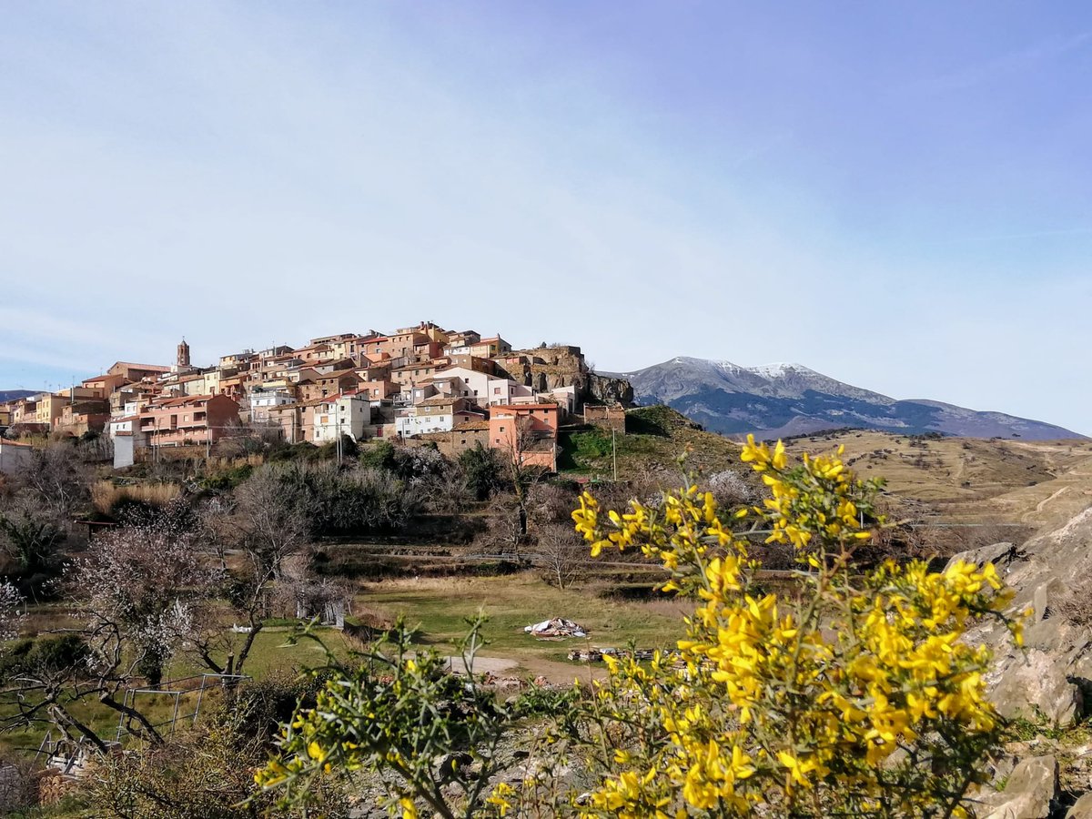 📍 Alcalá de Moncayo

📸 Roberto Aranda

#EstaEsMiTierraATV #fotodeldía <a href="/aragontv/">Aragón TV</a>