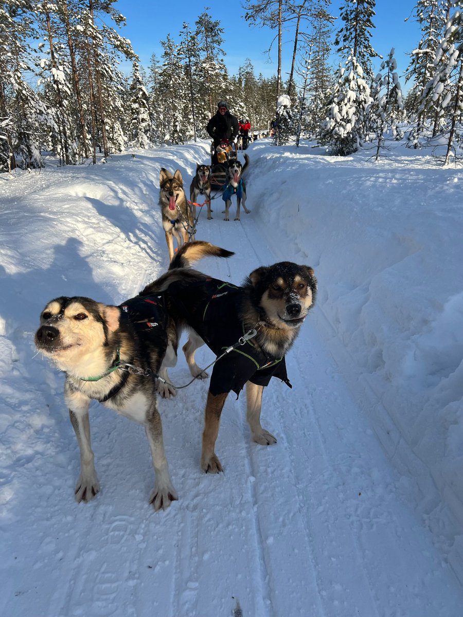 Florian Casse tweet media