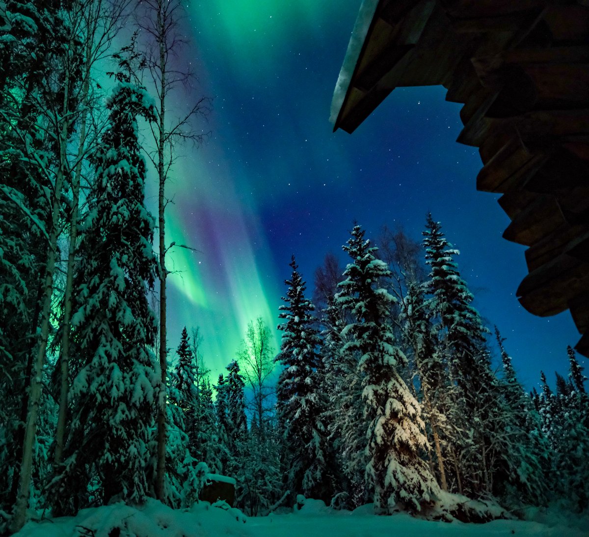 Aurora dancing outside my cabin in Fairbanks, Alaska. A reminder of the magic of our planet.