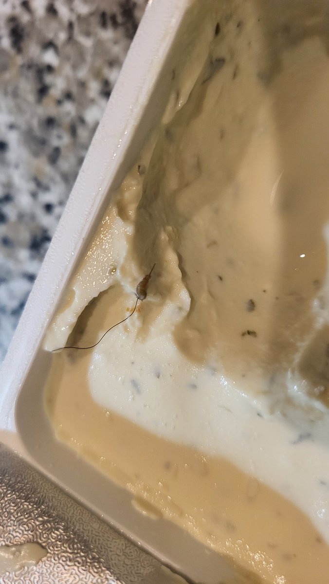 Soph_sparrow's tweet photo. @Morrisons 
I bought this soft cheese from your store 2 days ago. After using part of the product, I have pulled back the foil to reveal a dead maggot and a hair. I had to immediately throw the rest of the cheese away and felt sick at the fact we'd already eaten from it. https://t.co/6aVrJ90Cah