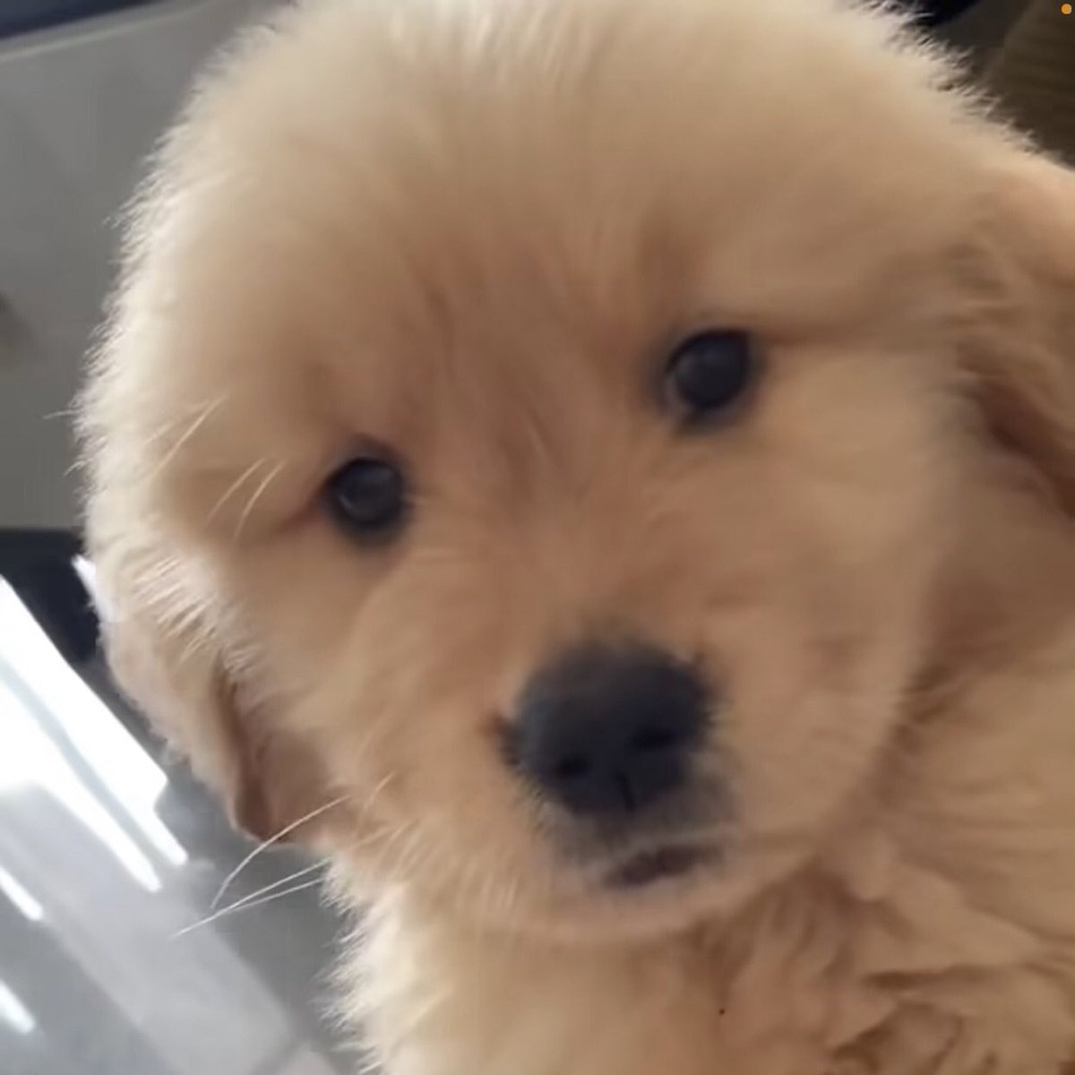 เข้าใจที่เราพูดมั้ย                         คับ (ไม่เข้าใจ)