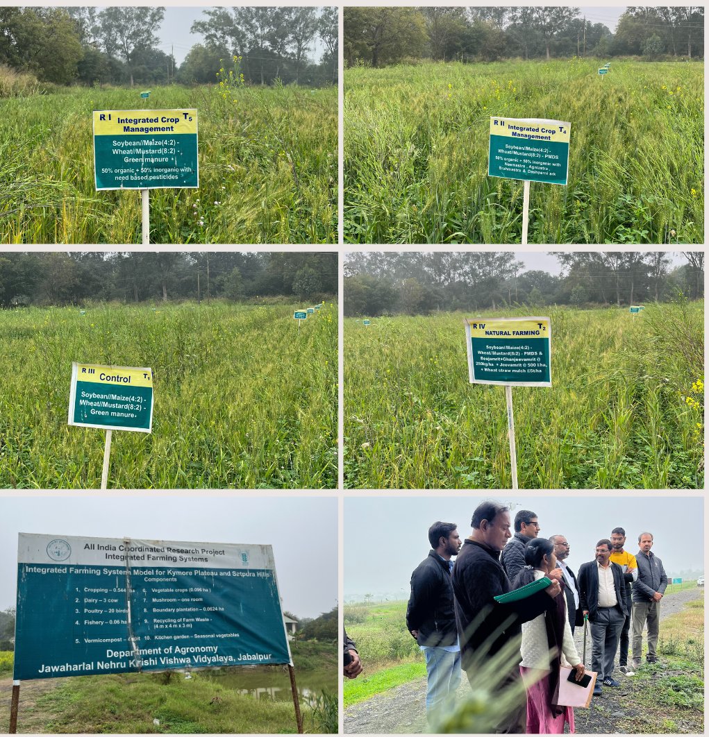 A recent field visit to Jabalpur- Jawaharlal Nehru Krishi Vishwa Vidyalaya, research ground of Integrated Farming System model for Kymore Plateau and Satpura hills <a href="/jnkvv_jabalpur/">JNKVV</a> @IWMI_India #agriculture #Farming #Agroecology #agroecology <a href="/CGIAR/">CGIAR</a> #OneCGIAR #AgroecologyInitiative